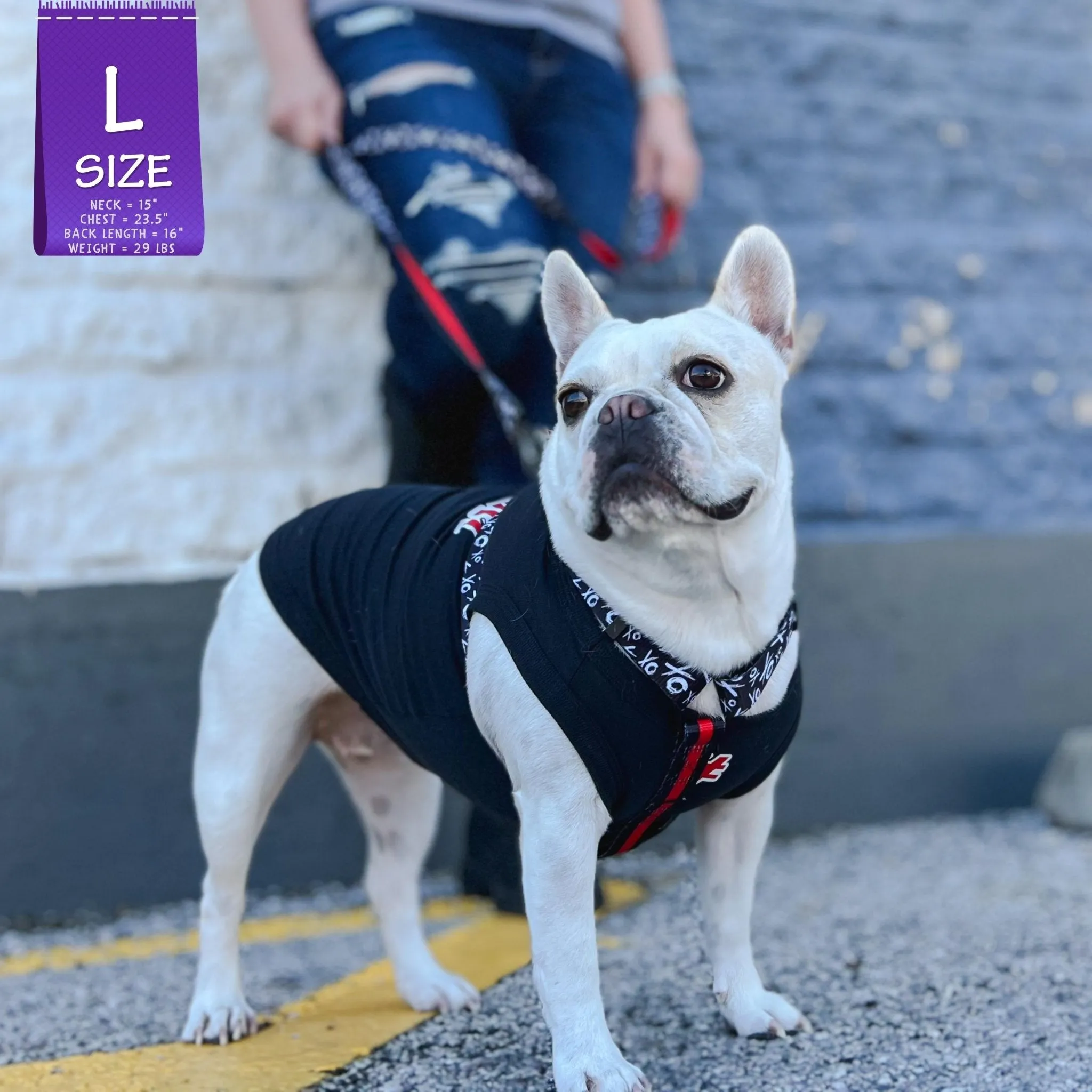 Dog T-Shirt | Sorry Not Sorry