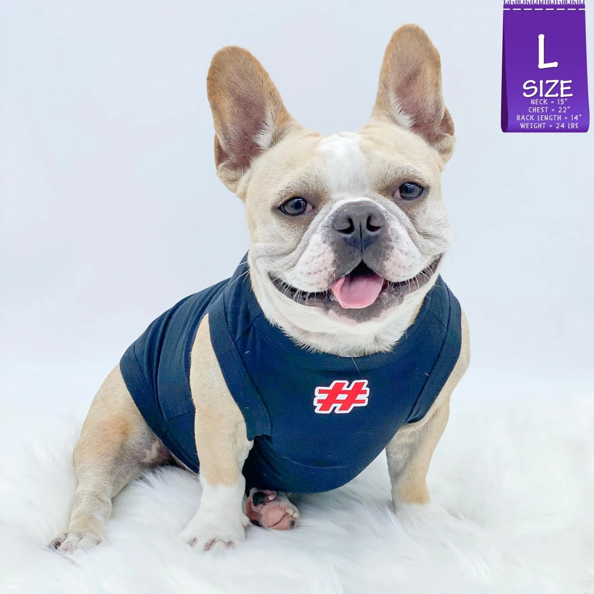 Dog T-Shirt | Sorry Not Sorry