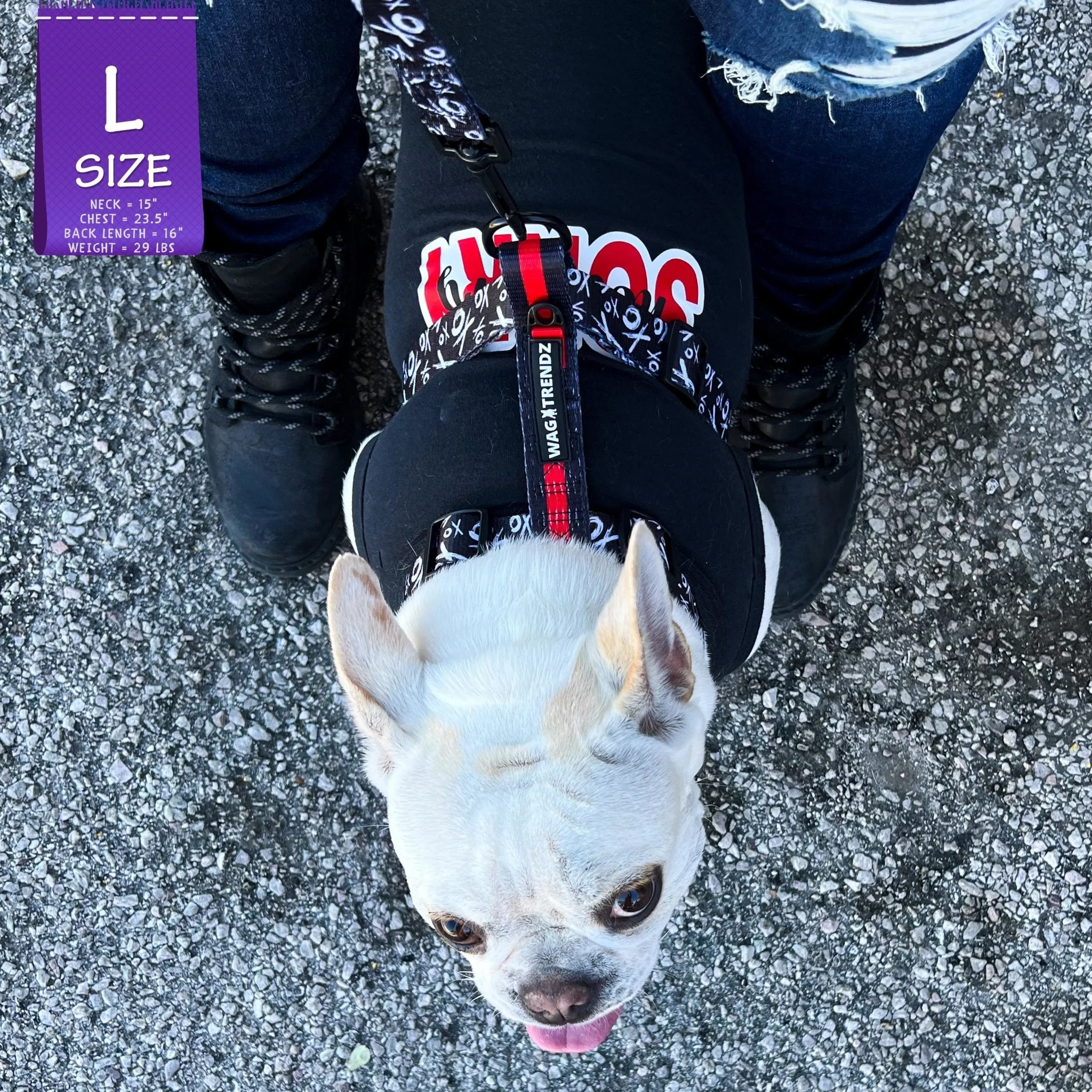 Dog T-Shirt | Sorry Not Sorry